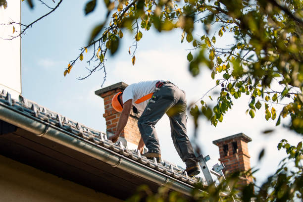 Best Roof Repair Services  in Mentone, IN